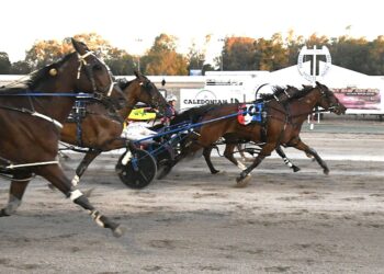 Madigan’s tough win in Echuca Cup