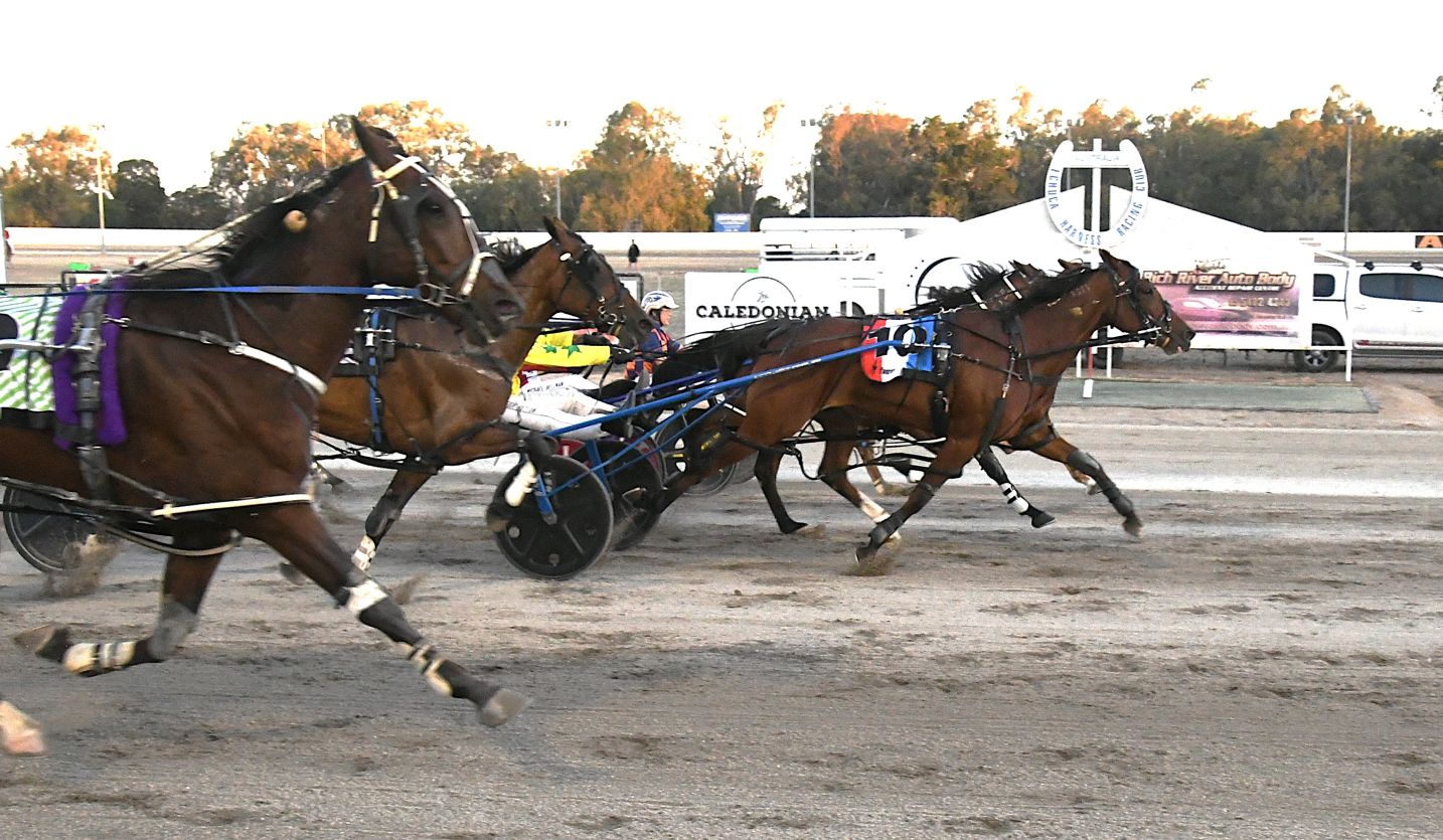 Madigan's tough win in Echuca Cup 1 Madigan wins Echuca Pacing Cup