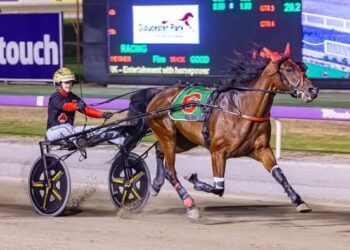 Majestic Ga Ga flies home in Trotters Sprint