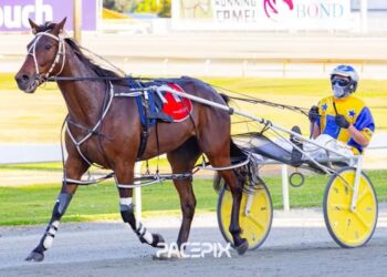 My Watchlist continues his winning form