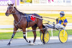 My Watchlist makes it three on end at Gloucester Park