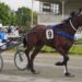 Turbo charged Pinseeker wins Central Otago Cup 2