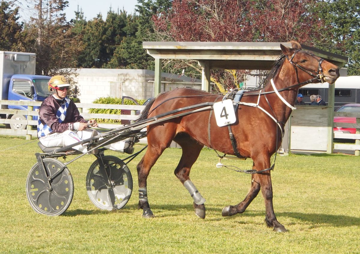 Inside the Phil Williamson camp 5