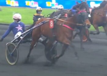 Rikita JP takes New Years Day Paris Feature