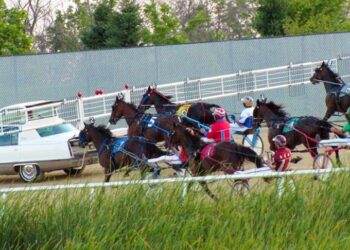 Running Aces 2026 stall applications and meet details released