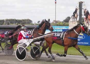 Rydgemont’s Heir wins on debut