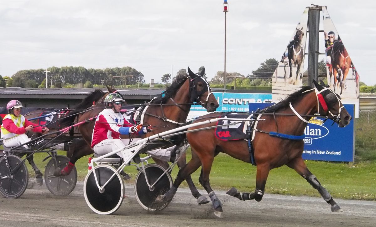 Rydgemont’s Heir wins on debut 1 Rydgemont's Heir