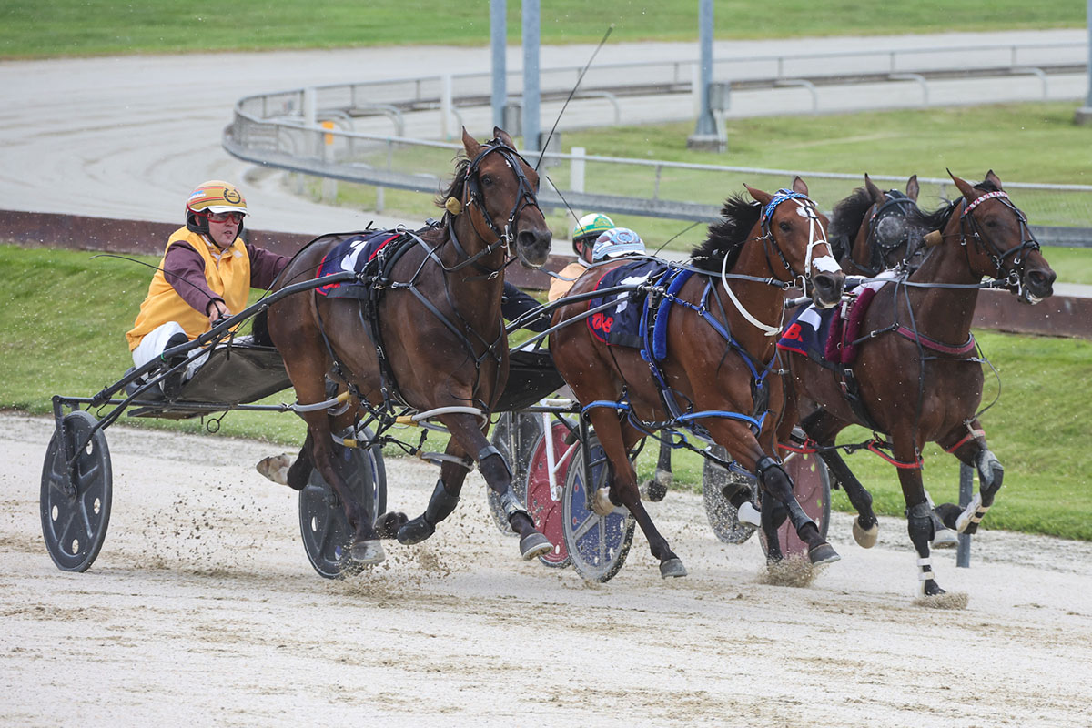 Scotlynn the brave 1