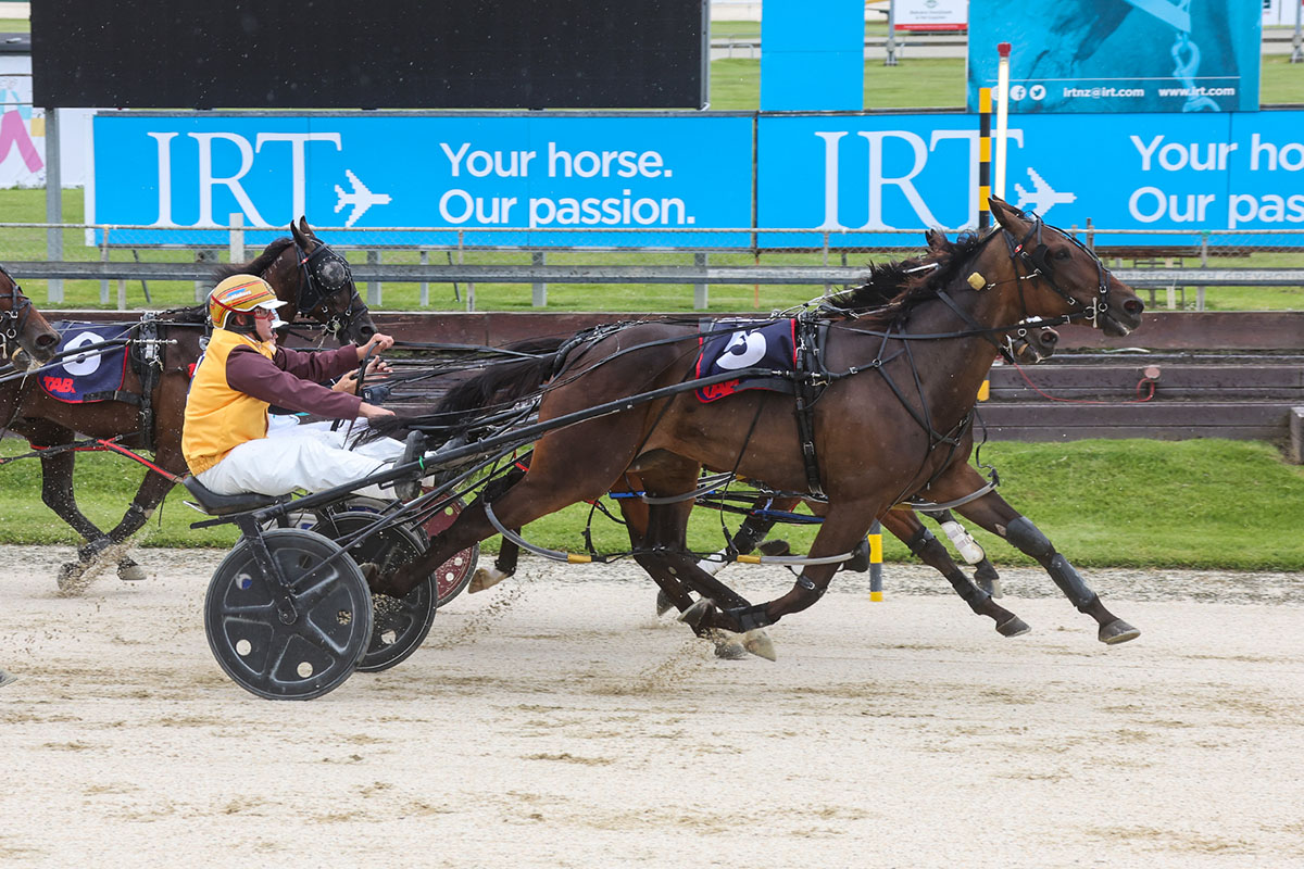 Scotlynn the brave 2