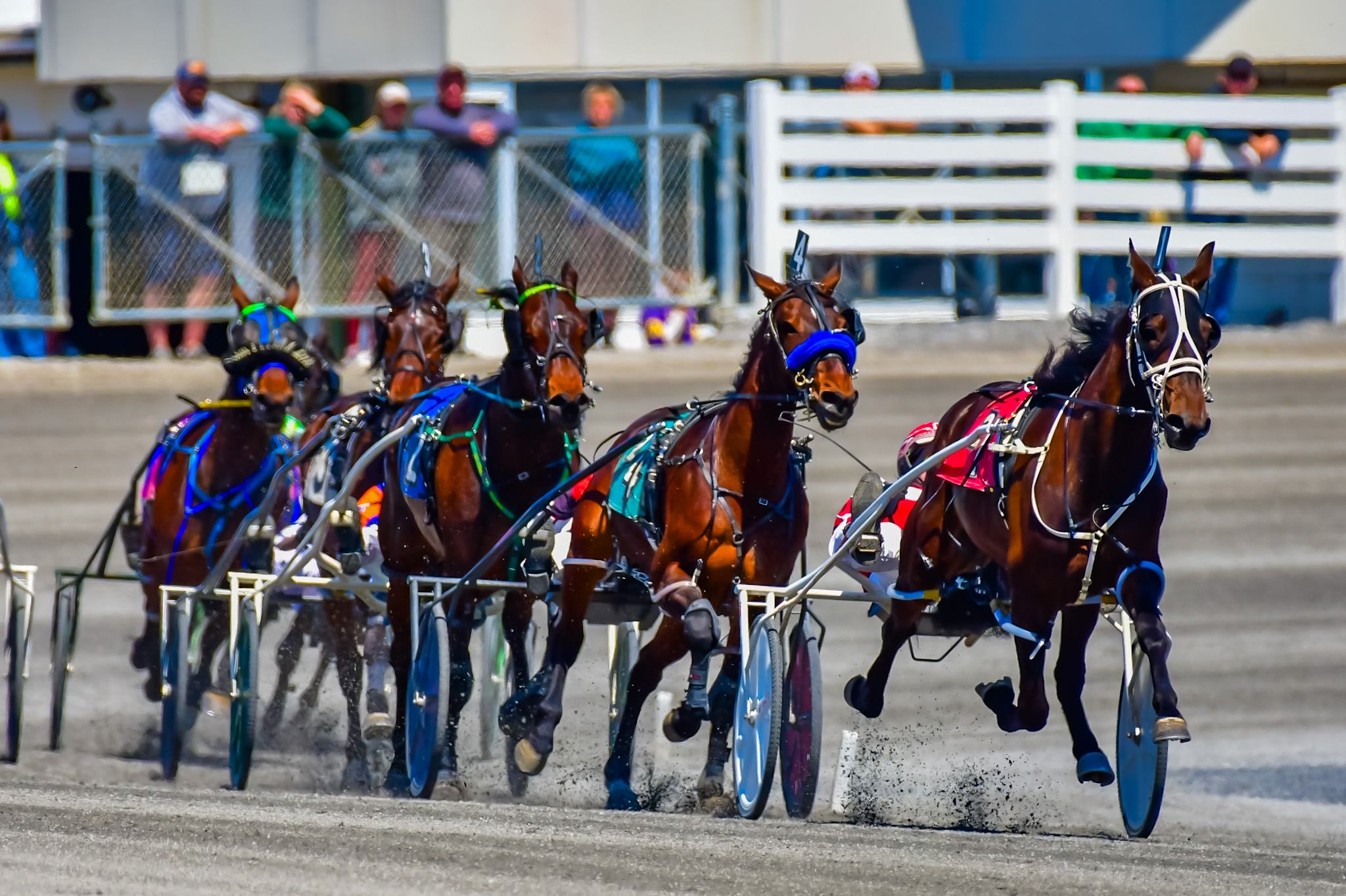 85th season at Saratoga kicks off on February 1st 1 Saratoga