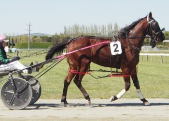 Green takes good team to Invercargill