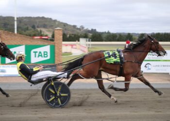 Swayzee back with a vengeance in Goulburn Cup