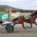 Swayzee back with a vengeance in Goulburn Cup