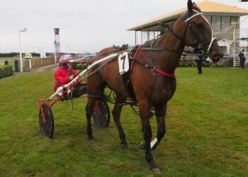 The Big Lebowski wins Riverton Cup