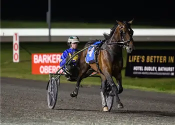 Trotters races moving ahead in New South Wales