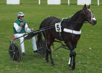 Ukraine back winning again