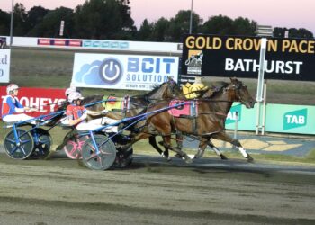 Wheres The Gold in surprise Bathurst Oberon Cup success