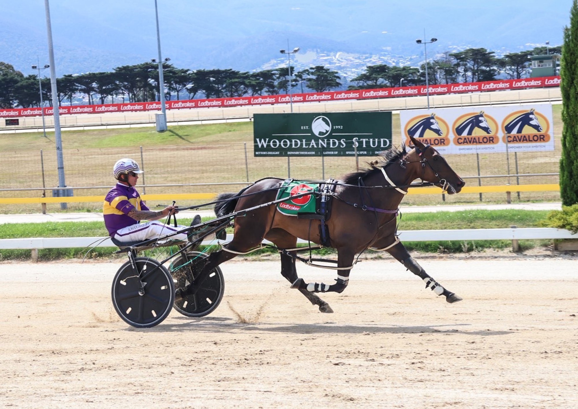 Hiller and Nova Baxter dominate the Art Meeker Memorial 2 Nova Baxter (Eliza Howlett Photo)