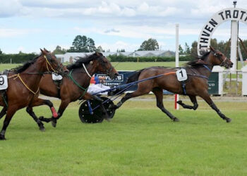 Eight lot gavelhouse auction on now