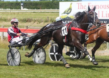 Auction bidding ends tonight