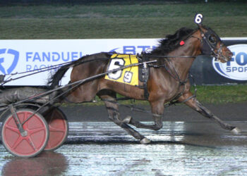 Boston Bound (Lisa Photo)