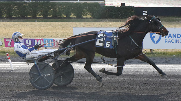 Bronzer upsets high end Trot 1 Bronzer