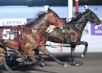 KELLY A PERFECT 10 AT BIG M