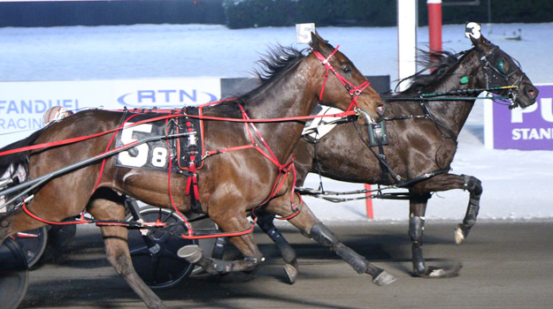 Bettors Donttell caps Kelly’s perfect weekend 1 Bettors Donttell