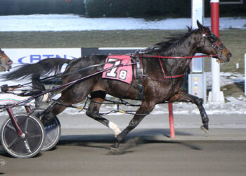Mamba and driver Vinny Ginsburg won the Saturday night feature at The Meadowlands. (Credit: Lisa Photo)