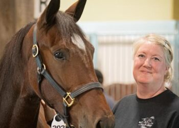 2025 London Classic sale topper Roca (Jake MacDonald Photo)