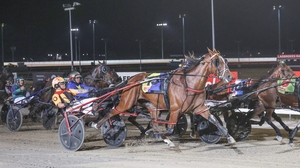 Former NZ pacer targeting Tasmania Cup