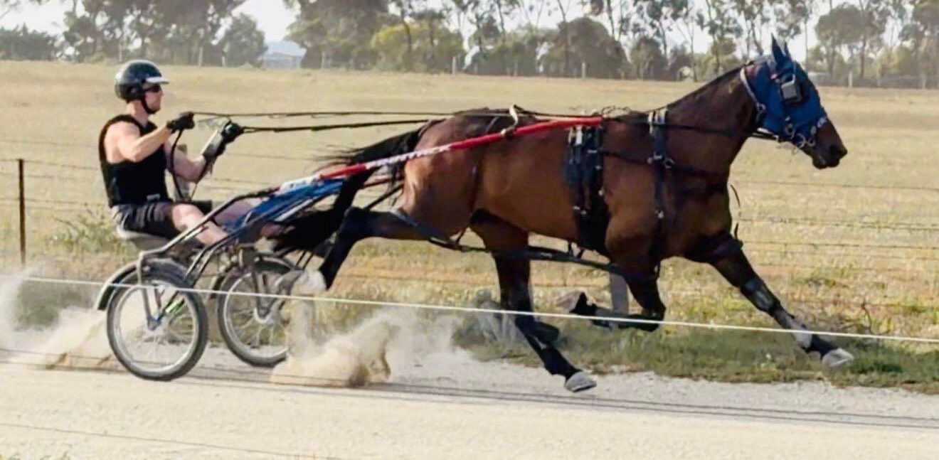 Old friendships, new winners for O’Sullivan, Mullan families 2