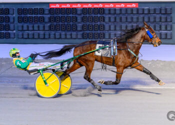 Benjamin Hanover impressive winning the Open Handicap Trot