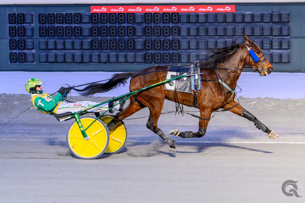 Benjamin Hanover impressive winning the Open Handicap Trot