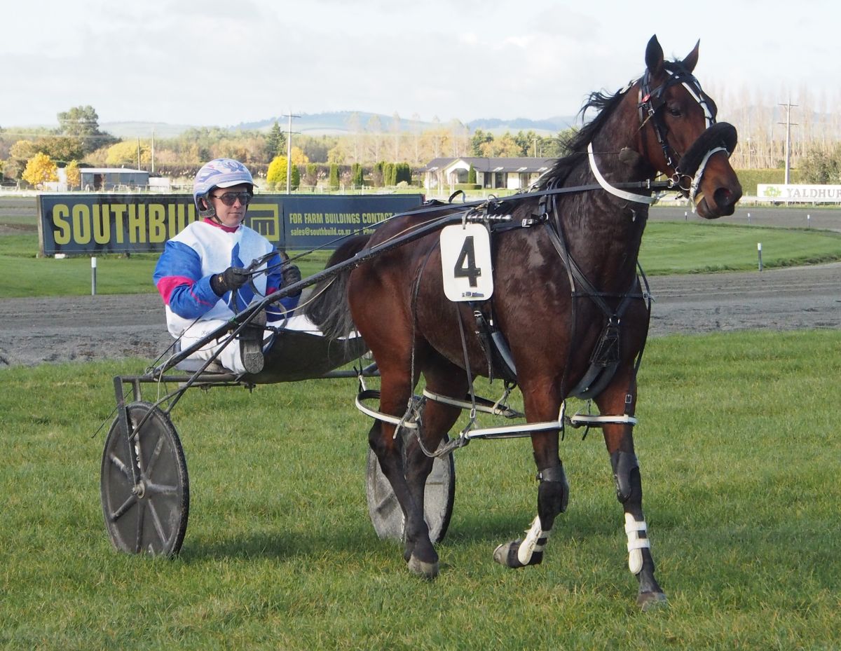 Wag Star gets chance to return to winning form 3