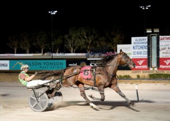 Magnificent Storm is back with a vengeance