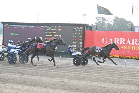Catchafire too strong in Menangle opener