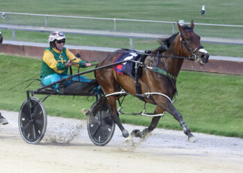 Fir win helps mark Gore celebrations