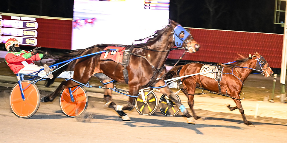 Phoenix Rising (#8, inside) was joined by Peace Talks (#1, outside) for a dead-heat win
