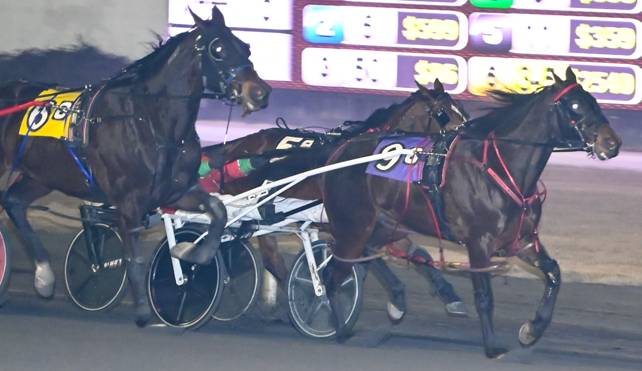 Erik Jones/Room 9 Photography): Jonathan Roberts scored his 5,000th win of his driving career on Monday at Rosecroft, doing so with Freaky Feet Beast