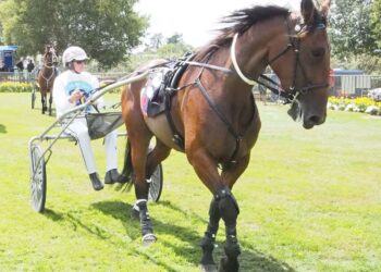 Fir win helps mark Gore celebrations