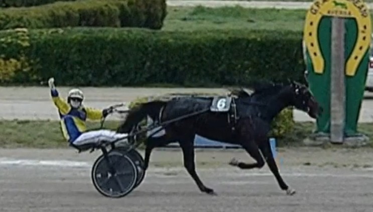 Competivo takes Quinte+ at Vincennes 2 Gandhi Mail
