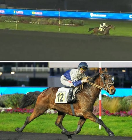 Global Concept Wins Q+ Durtal les Raires 4