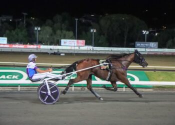 Gus breaks track record in triumphant return