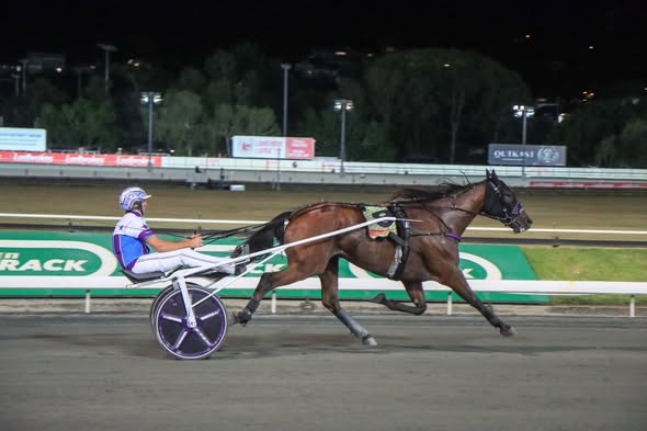 Gus wins Trotters Marathon (The Creek Photo)
