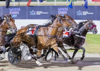 Hunter Cup draw to shape one of the great fields in years