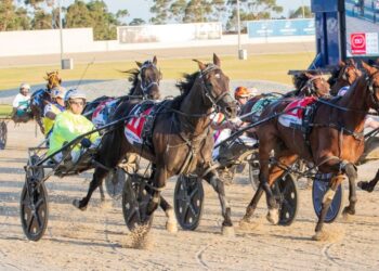 Hesitate’s last to first dramatic success.