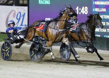 Himanameisjeff upsets Don Hugo in JE Binskin Free For All