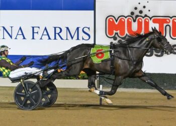 Hollywood Strip burns off his rivals in Simpson Sprint