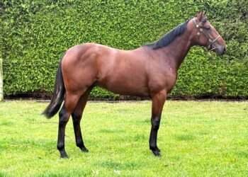 SBSR has quality entries